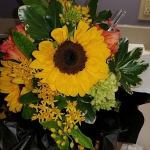 Meet your Posher, Anat